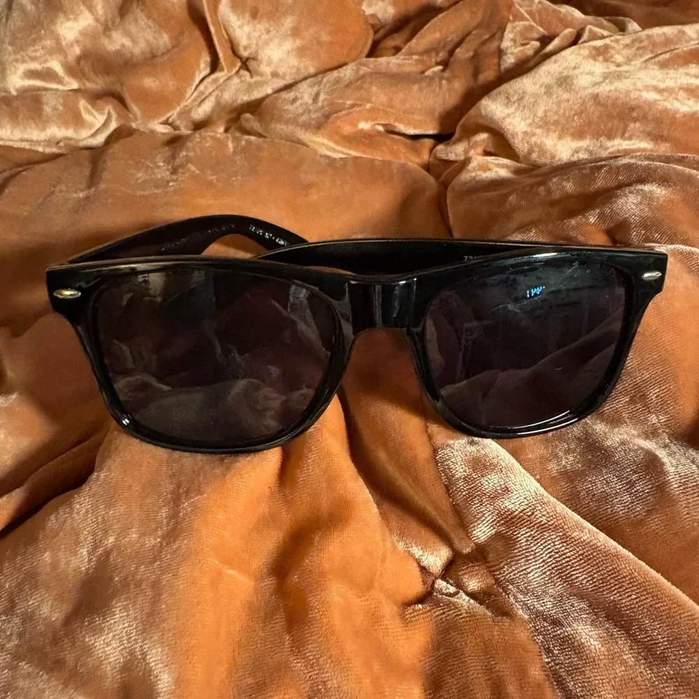 Zero Barks Given 🐾😎 Wayfarer Style Sunglasses Weiner Nationals Huntington Beach